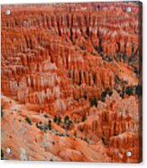 Bryce Canyon Megapixels Acrylic Print