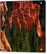 Bryce Canyon Red Rock Acrylic Print