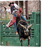 Bull Riding In Wickenburg Arizona Acrylic Print