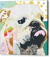 Bulldog Collage Acrylic Print