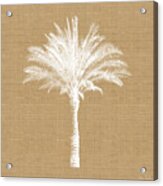 Burlap Palm Tree- Art By Linda Woods Acrylic Print