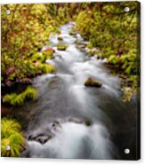 Burney Creek Acrylic Print