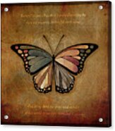 Butterfly 1 Acrylic Print
