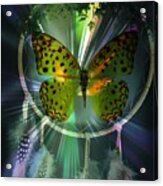 Butterfly Dreamcatcher Acrylic Print