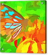 Butterfly On Flower Acrylic Print