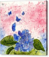 Butterflies Or Hydrangea Flower, You Decide Acrylic Print