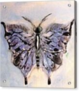 Butterfly Study By Lisa Kaiser Acrylic Print
