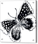 Butterfly Acrylic Print