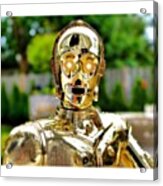 C3po Is Looking For Everyone.

