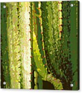 Cacti Sculpture Acrylic Print