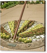 Cactus Sundial Acrylic Print