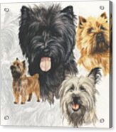 Cairn Terrier Revamp Acrylic Print