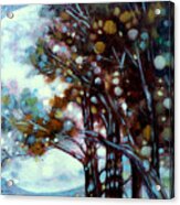 California Cypress Acrylic Print