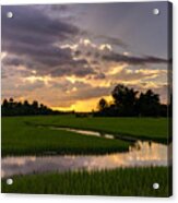 Cambodia Rice Fields Sunset Acrylic Print