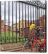 Cambridge In Spring With Bicycle Vertical Acrylic Print