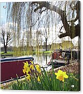 Cambridge Riverbank In Spring Acrylic Print