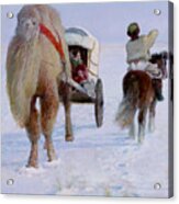 Camel Car Acrylic Print