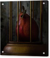Captive - The Pear Drama 985 Acrylic Print