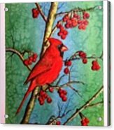 Cardinal And Berries Acrylic Print