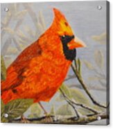 Cardinal In All His Glory Acrylic Print