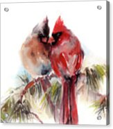 Cardinals Wateroclor Painting Acrylic Print