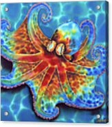 Caribbean Octopus Acrylic Print