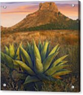 Casa Grande Butte With Agave Acrylic Print