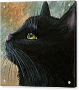 Black Cat 545 Acrylic Print