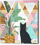 Cat Collage Acrylic Print