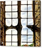 Cat In The Castle Window Acrylic Print