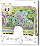 Catastrophy Zone Acrylic Print