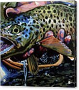 Catch Of The Day Acrylic Print