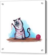 Cat's Cradle, Kitty Style Acrylic Print