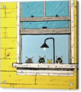 4 Cats Daydreaming Acrylic Print
