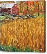 Red Barn And Cornfields Catskills Autumn Acrylic Print