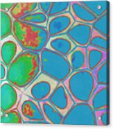 Cells Abstract Three Acrylic Print