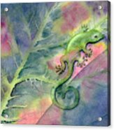 Chameleon Acrylic Print
