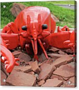 Charlottetown Lobster Acrylic Print