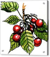 Cherries Acrylic Print