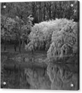 Cherry Blossoms And The Pond - Holmdel Park Acrylic Print