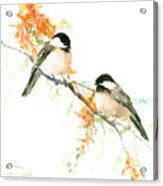 Chickadees And Orange Flowers Acrylic Print