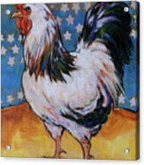 Chicken And Stars Acrylic Print