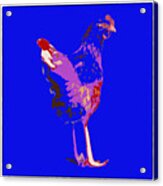 Chicken With Tall Legs Acrylic Print