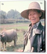 Chinese Farm Woman Oxen Acrylic Print