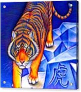 Chinese Zodiac - Year Of The Tiger Acrylic Print