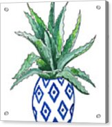Chinoiserie Cactus Acrylic Print