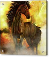 Chitto Spirit Horse Acrylic Print