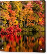 Chocorua Pond In Fall Foliage Acrylic Print