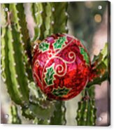 Christmas Cactus 3 Acrylic Print