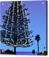 Christmas Tree At Moonlight Beach Encinitas, California Acrylic Print